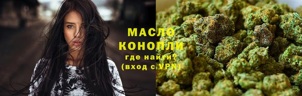 крисы Медногорск