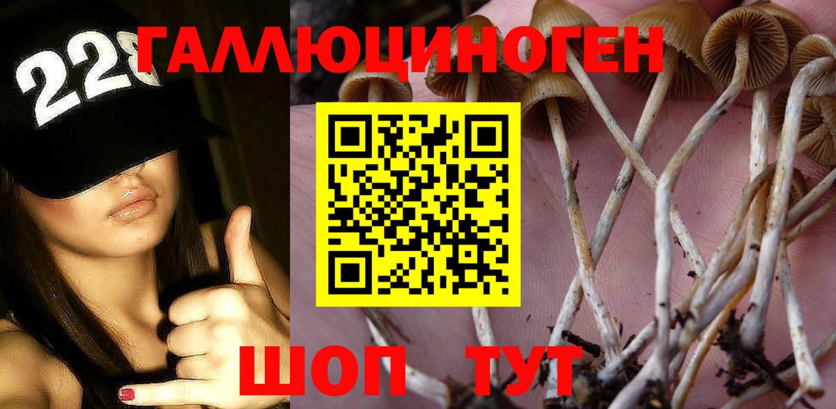 Псилоцибиновые грибы мицелий Узловая
