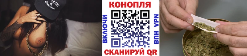 наркота  Узловая  Каннабис план 